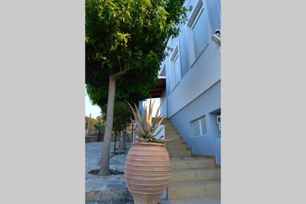 United Blue Resorts - Blue View Karteros Bagian luar foto